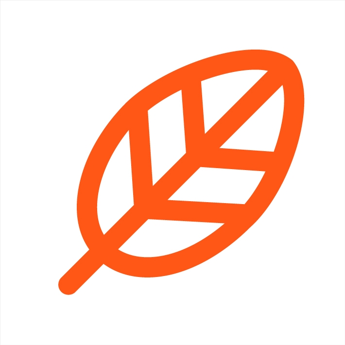 Leaf icon in orange